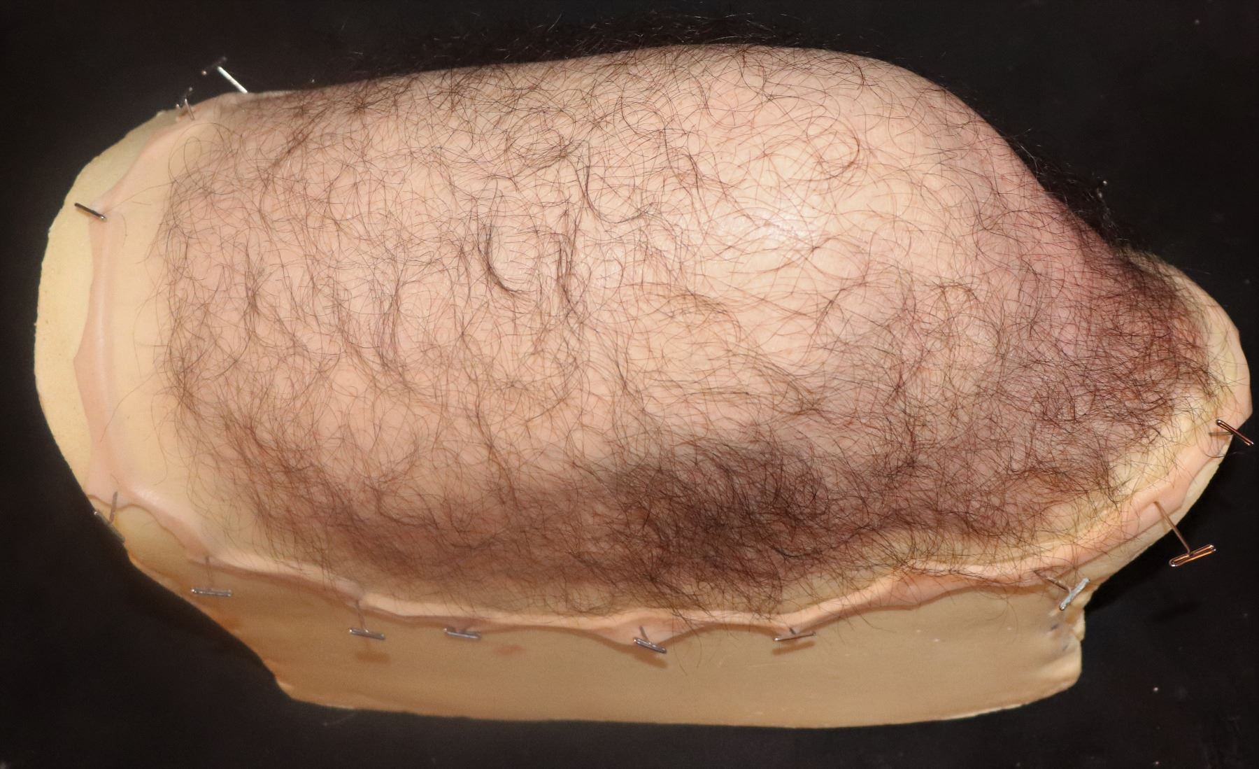 Home Hairy Ass